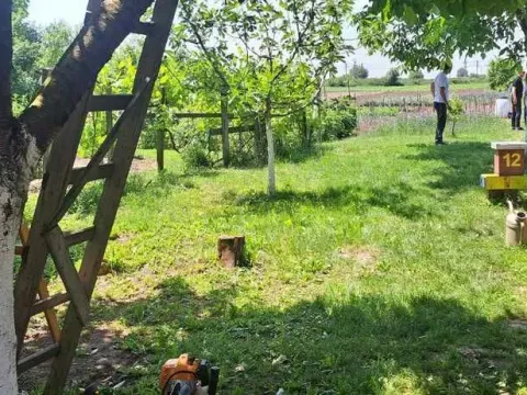 Prodaja, kuća, 233m², Nova Pazova, Stara Pazova - image 16