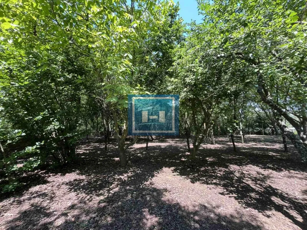 Sale, house, 120m², Paraćin, Srbija