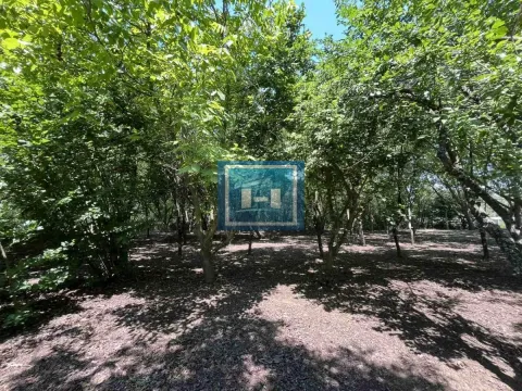 Sale, house, 120m², Paraćin, Srbija - image 22