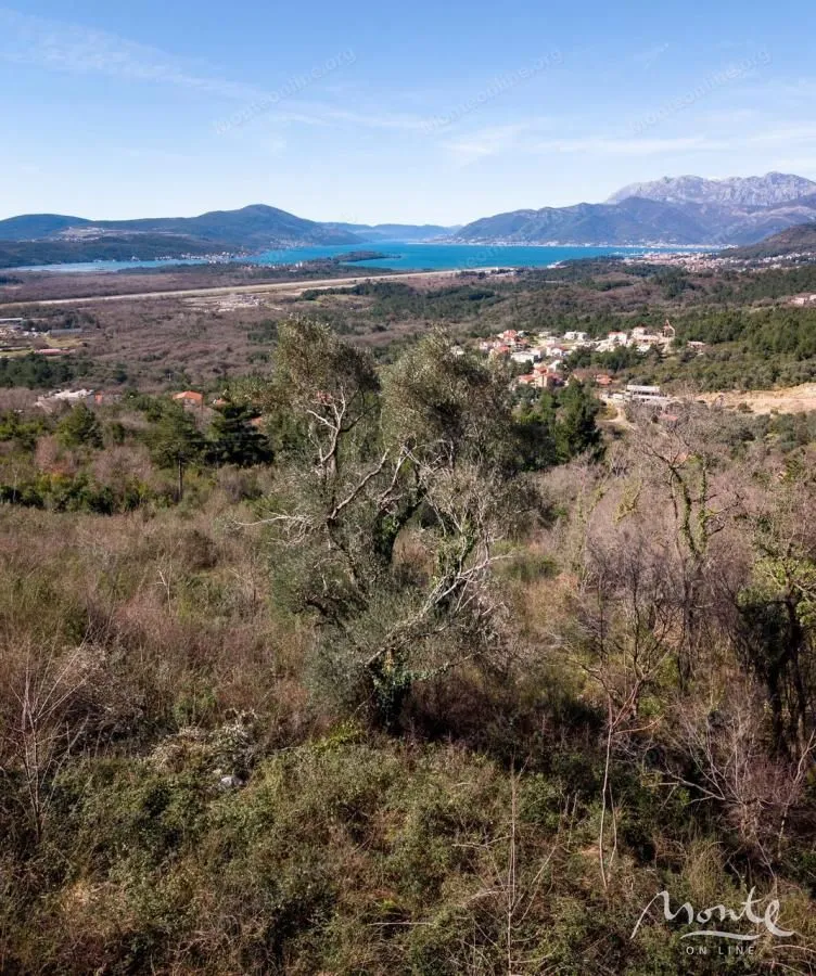 Prodaja, plac, 5520m², Dub, Kotor