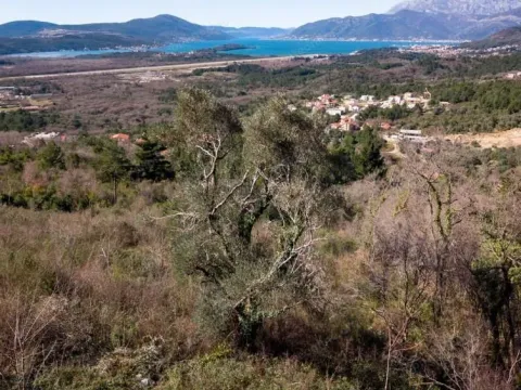 Prodaja, plac, 5520m², Dub, Kotor - image 6