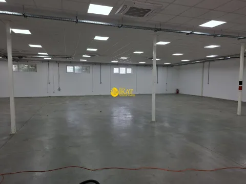 Izdavanje, poslovni prostor, 650m², Altina, Beograd - image 4