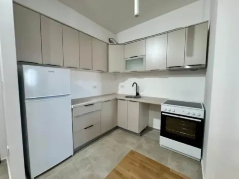 Rent, one bedroom apartment, 46m², Stari Aerodrom, Podgorica - image 2