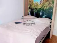 Izdavanje, dvosoban stan, 55m², Telep, Novi Sad Sve Podlokacije - image 15