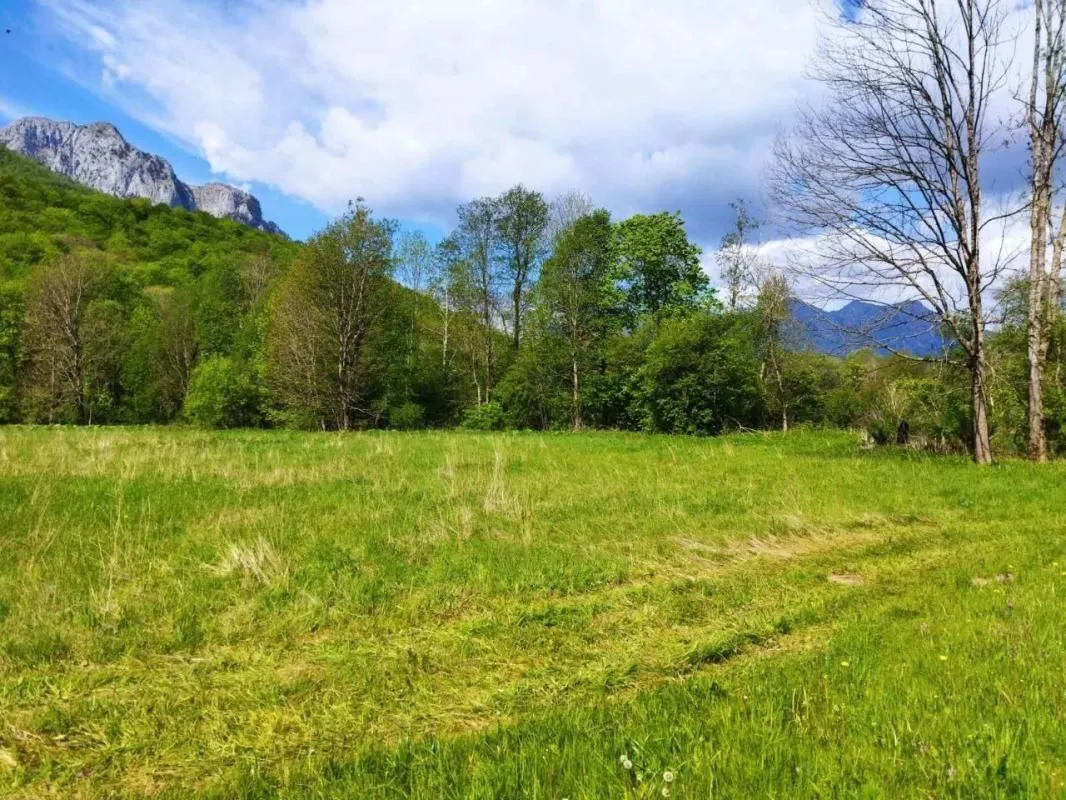 Sale, land lot, 10000m², Kolašin, Crna Gora
