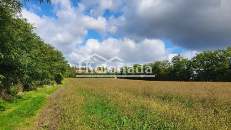 Prodaja, plac, 7600m², Dučina, Sopot