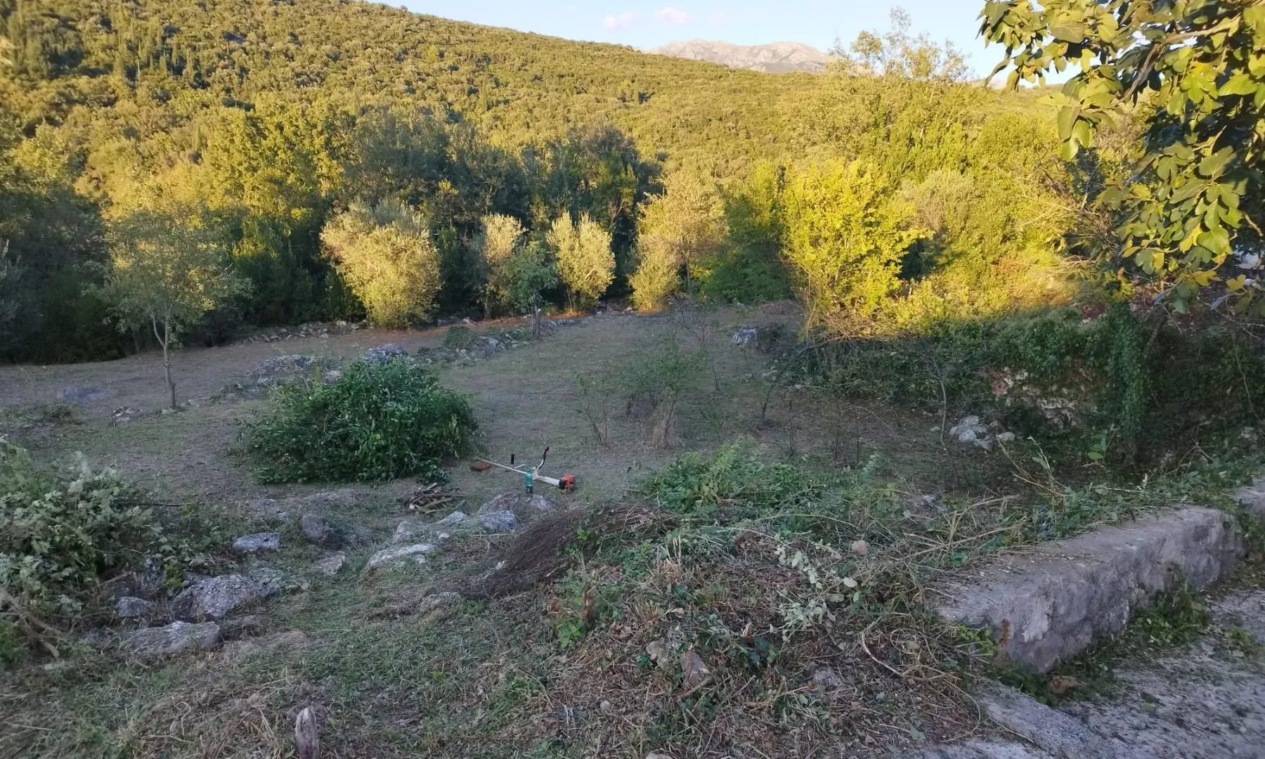 Prodaja, plac, 1100m², Kotor, Crna Gora