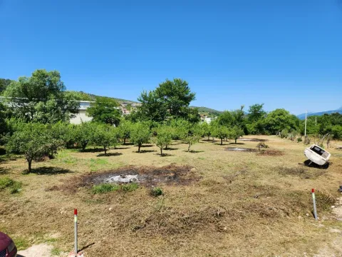 Zemljište sa zasađenim voćkama pod vedrim nebom. - image 4