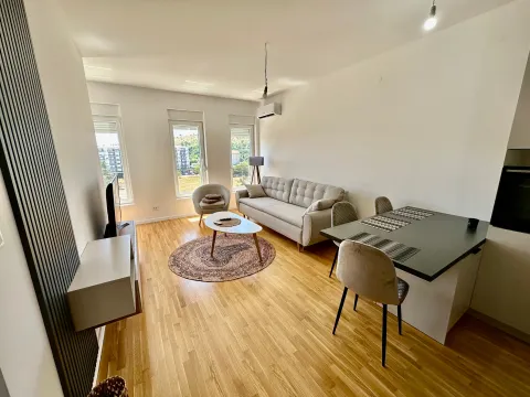 Izdavanje, jednosoban stan, 50m², Zabjelo, Podgorica - image 2