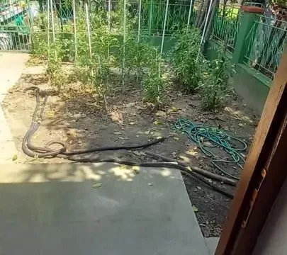 Prodaja, kuća, 117m², Pijaca, Jagodina - image 11