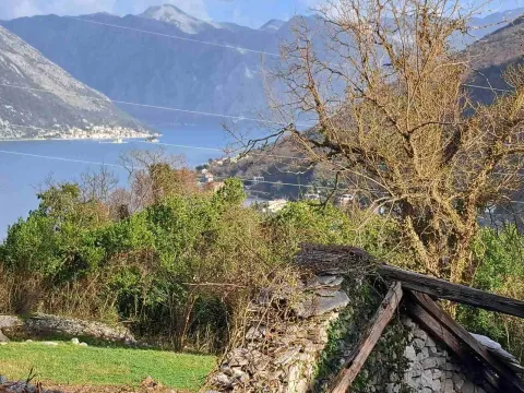 Prodaja, plac, 4067m², Morinj, Kotor - image 3