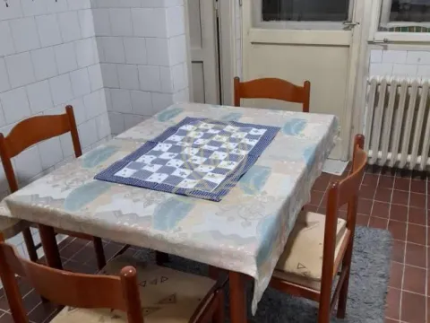 Izdavanje, dvosoban stan, 58m², Podbara, Novi Sad Sve Podlokacije - image 8