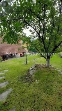 Zeleno dvorište sa drvetom i kućom u pozadini. - image 4