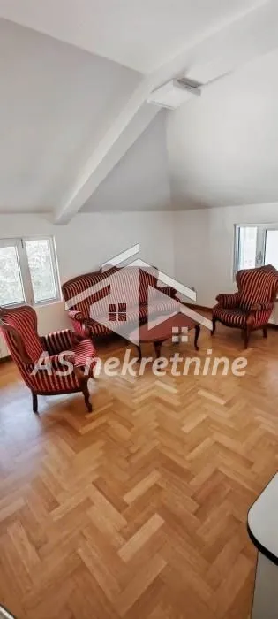 Izdavanje, kuća, 500m², Profesorska Kolonija, Palilula Sve Podlokacije