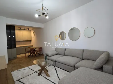 Rent, one bedroom apartment, 47m², Zabjelo, Podgorica - image 1