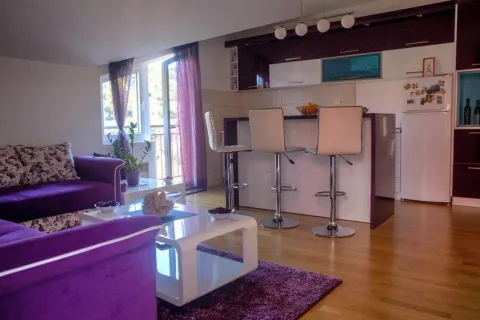 Izdavanje, jednosoban stan, 48m², Dalmatinska ulica, Podgorica - image 2