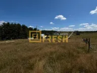 Prodaja, plac, 503m², Žabljak, Crna Gora - image 3