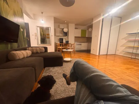 Prostrana dnevna soba sa garniturom i trpezarijom u pozadini. - image 10