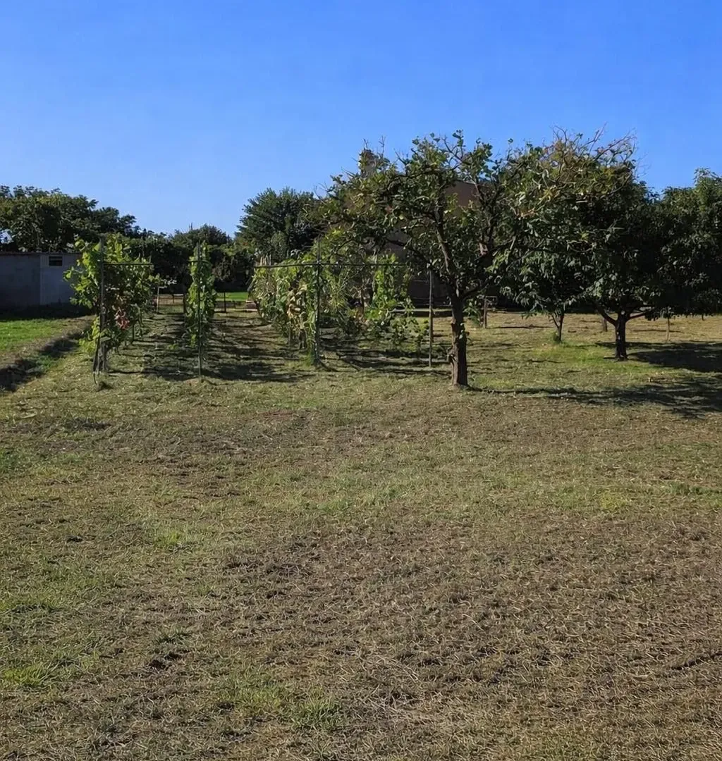 Prodaja, plac, 600m², Tomba, Bar