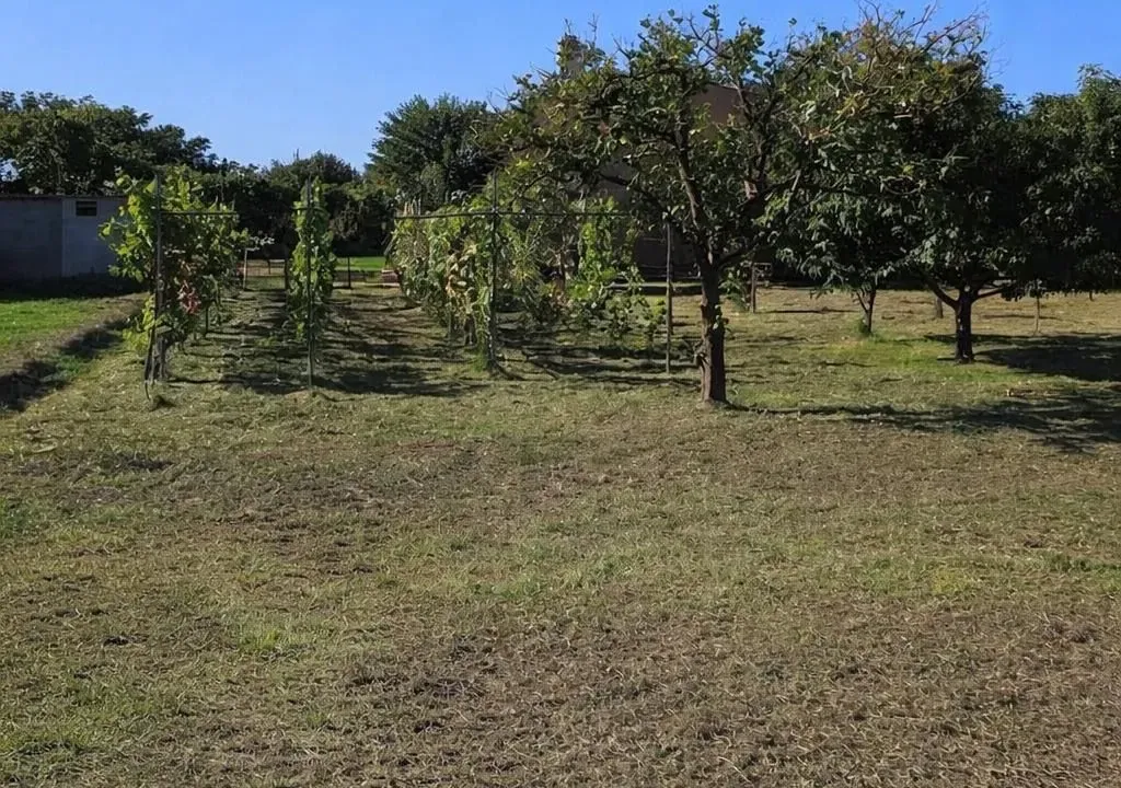Sale, land lot, 600m², Tomba, Bar