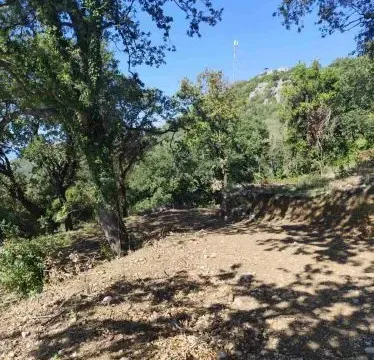 Prodaja, plac, 1227m², Dobra Voda, Budva - image 13