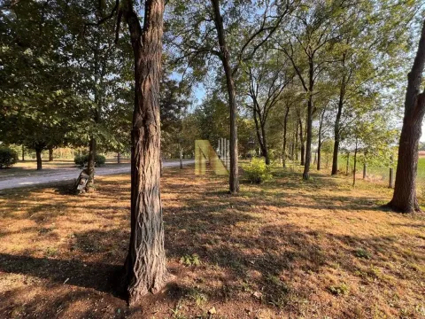 Sale, house, 356m², Čenej, Novi Sad Sve Podlokacije - image 4