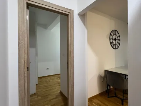 Izdavanje, jednosoban stan, 42m², Ljubović, Podgorica - image 9