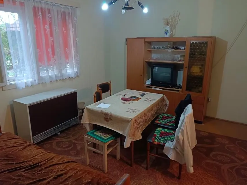 Dnevna soba sa trpezarijskim stolom i nameštajem starije generacije.