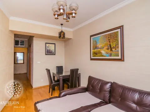 Izdavanje, jednosoban stan, 55m², Centar, Podgorica - image 10