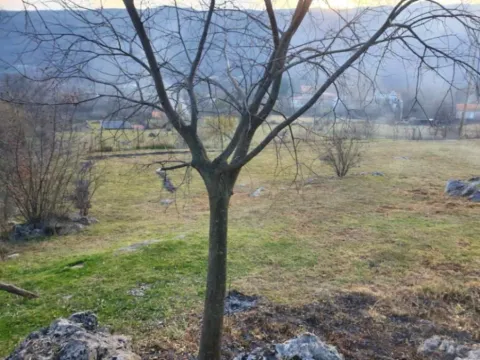 Prodaja, plac, 3700m², Donji Zagarač, Danilovgrad - image 4