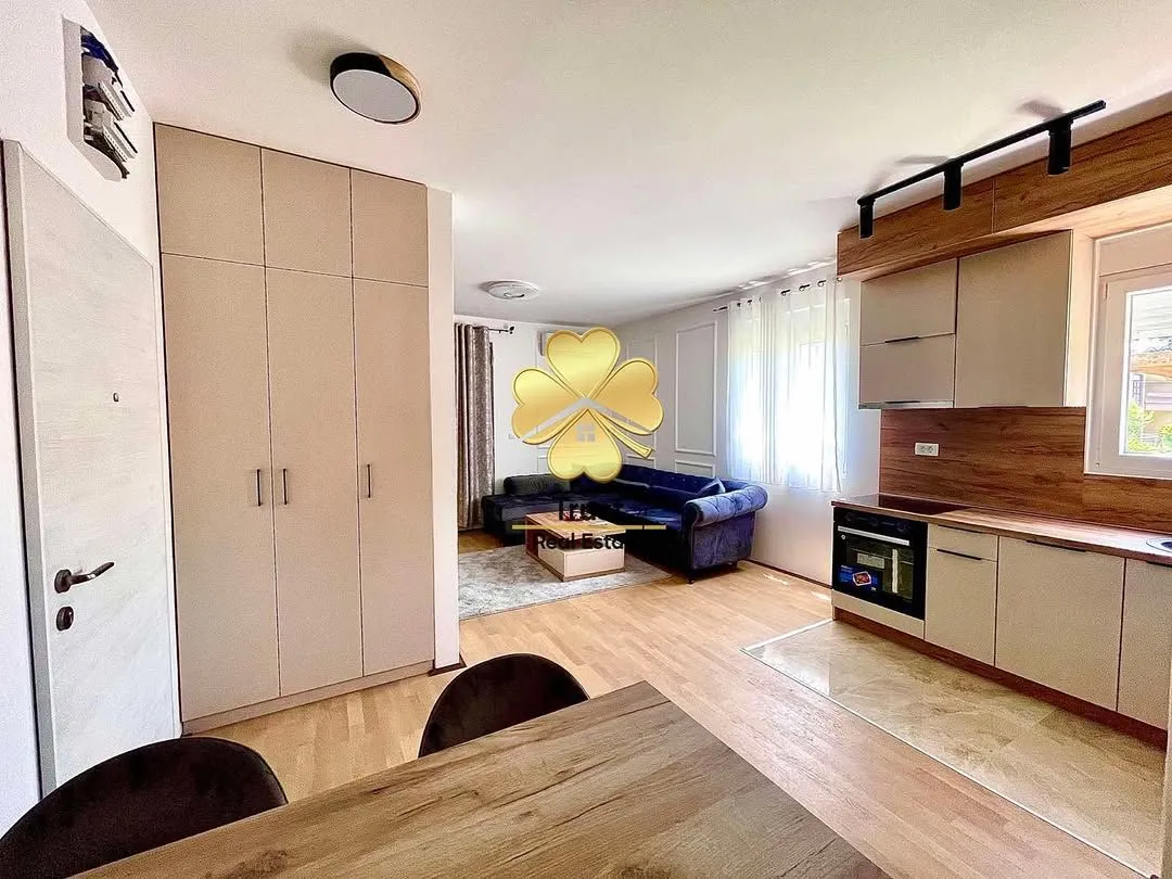 Rent, one bedroom apartment, 50m², Krivi Most, Podgorica