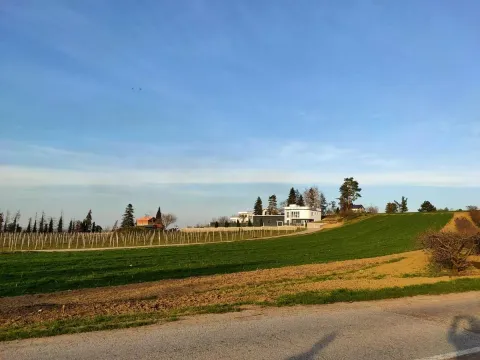 Prodaja, plac, 6000m², Beočin, Srbija - image 5