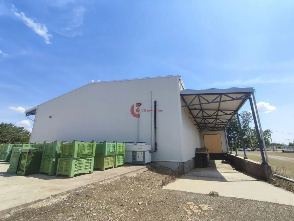 Rent, office space, 665m², Bački Vinogradi, Subotica