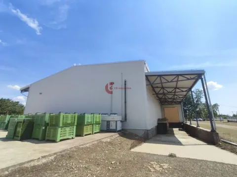 Izdavanje, poslovni prostor, 665m², Bački Vinogradi, Subotica - image 2