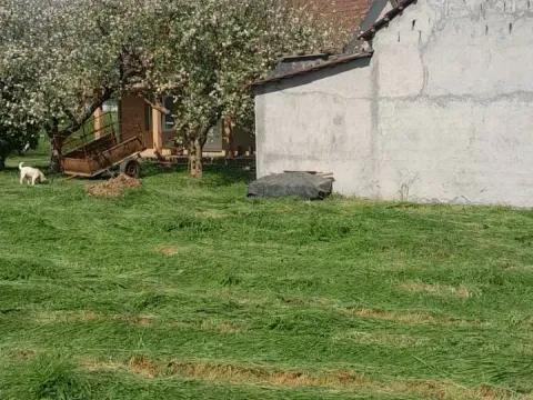 Sale, house, 100m², Kosić, Danilovgrad - image 4