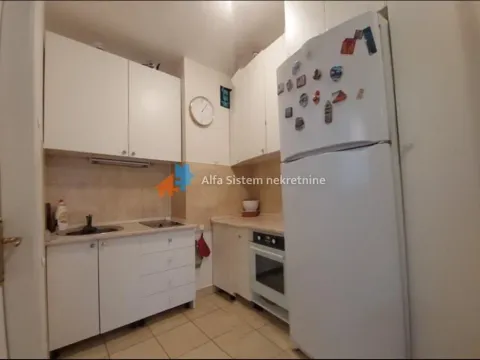 Izdavanje, stan, 40m², Botanička Bašta, Palilula Sve Podlokacije - image 8