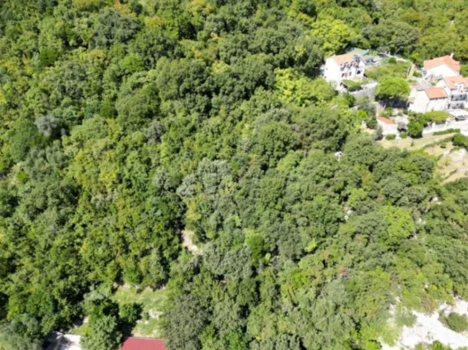 Prodaja, plac, 7000m², Lipci, Kotor