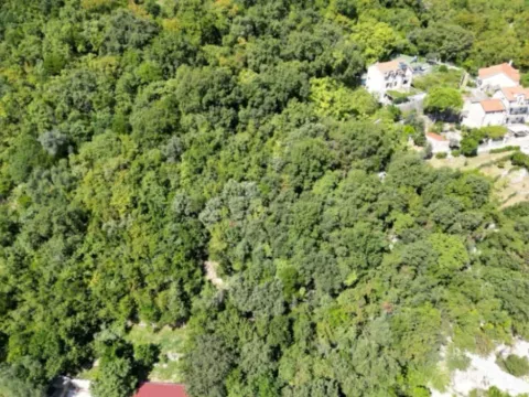 Sale, land lot, 7000m², Lipci, Kotor - image 12