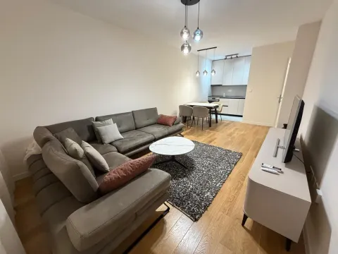 Izdavanje, jednosoban stan, 49m², Central Point, Podgorica - image 4