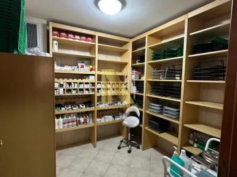 Izdavanje, kuća, 750m², Sajmište, Novi Sad - image 7