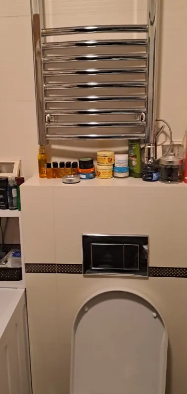 View of the bathroom with a built-in toilet and a towel warmer.
