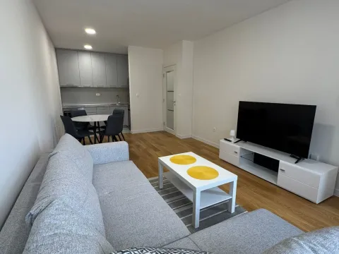 Rent, one bedroom apartment, 49m², Central Point, Podgorica - image 4