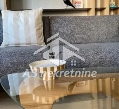 Rent, two bedroom apartment, 47m², Vračar Hram, Vračar Sve Podlokacije - image 9