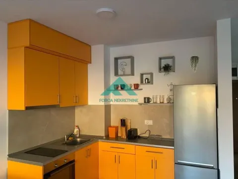 Izdavanje, jednosoban stan, 40m², Lekino Brdo, Voždovac Sve Podlokacije - image 5