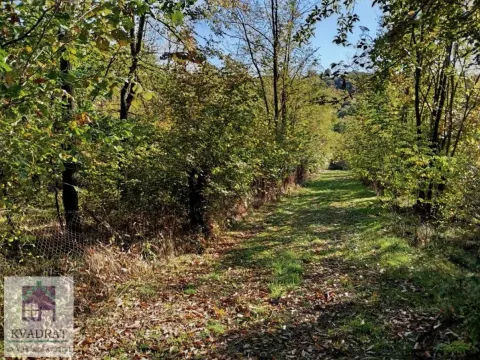 Prodaja, plac, 3800m², Obrenovac, Beograd - image 5