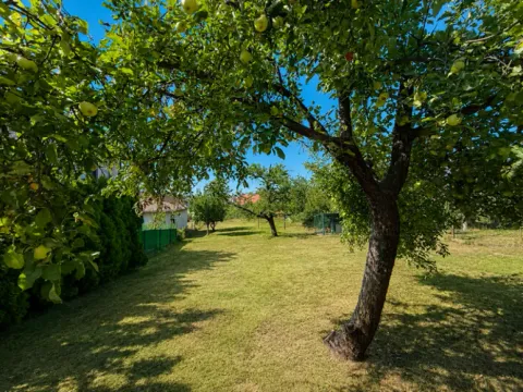 Sale, house, 220m², Grocka, Beograd - image 3