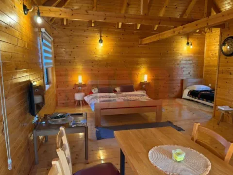 Sale, hospitality venue, 1000m², Čortanovci, Inđija - image 3