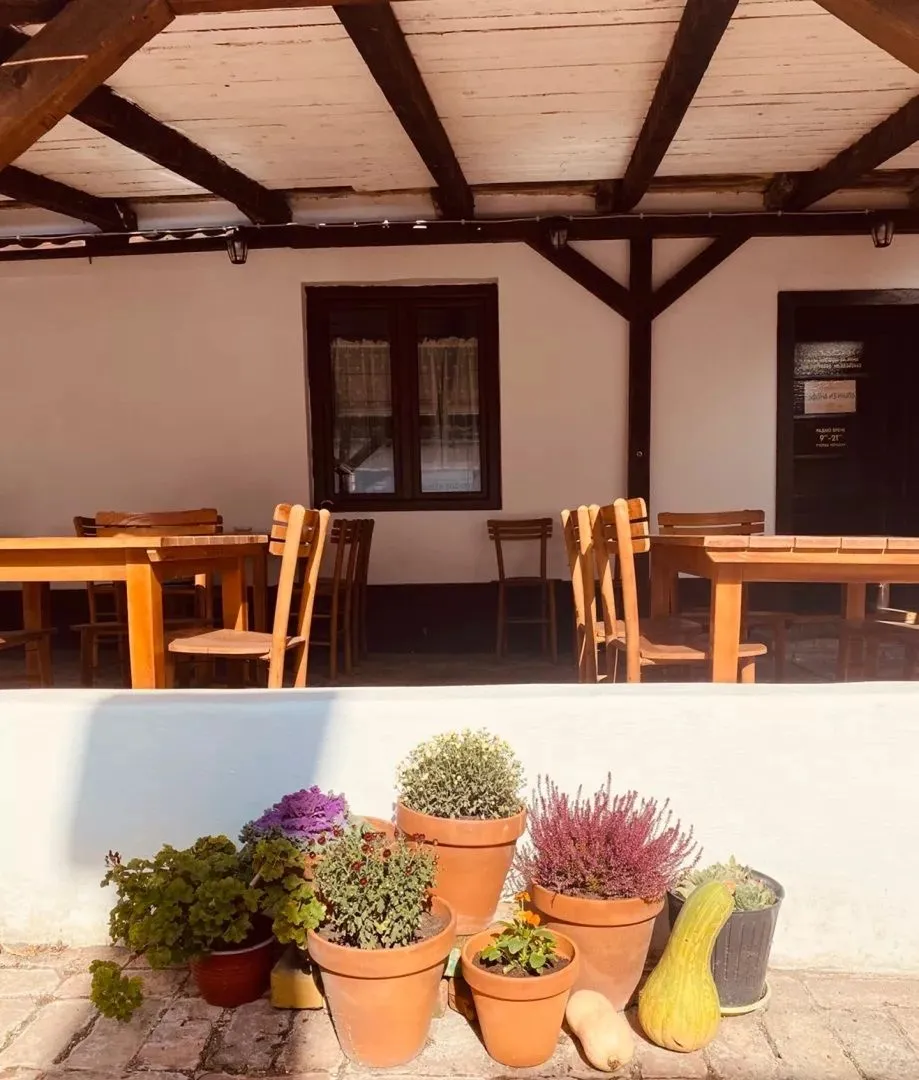 Prodaja, ugostiteljski objekat, 176m², Ruma, Srbija