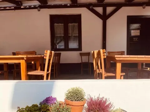 Prodaja, ugostiteljski objekat, 176m², Ruma, Srbija - image 20