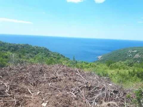 Prodaja, plac, 800m², Zagora, Kotor - image 5